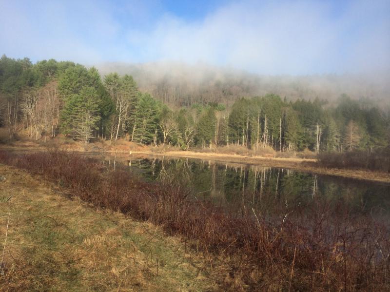 "Mystery Trail" Pond and Wetland